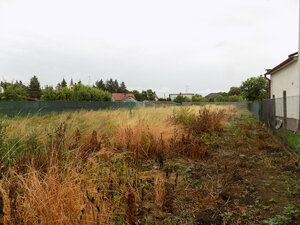 Na predaj rovinatý pozemok  v obci Bíňa -1088m2 pri Štúrove . — foto 3