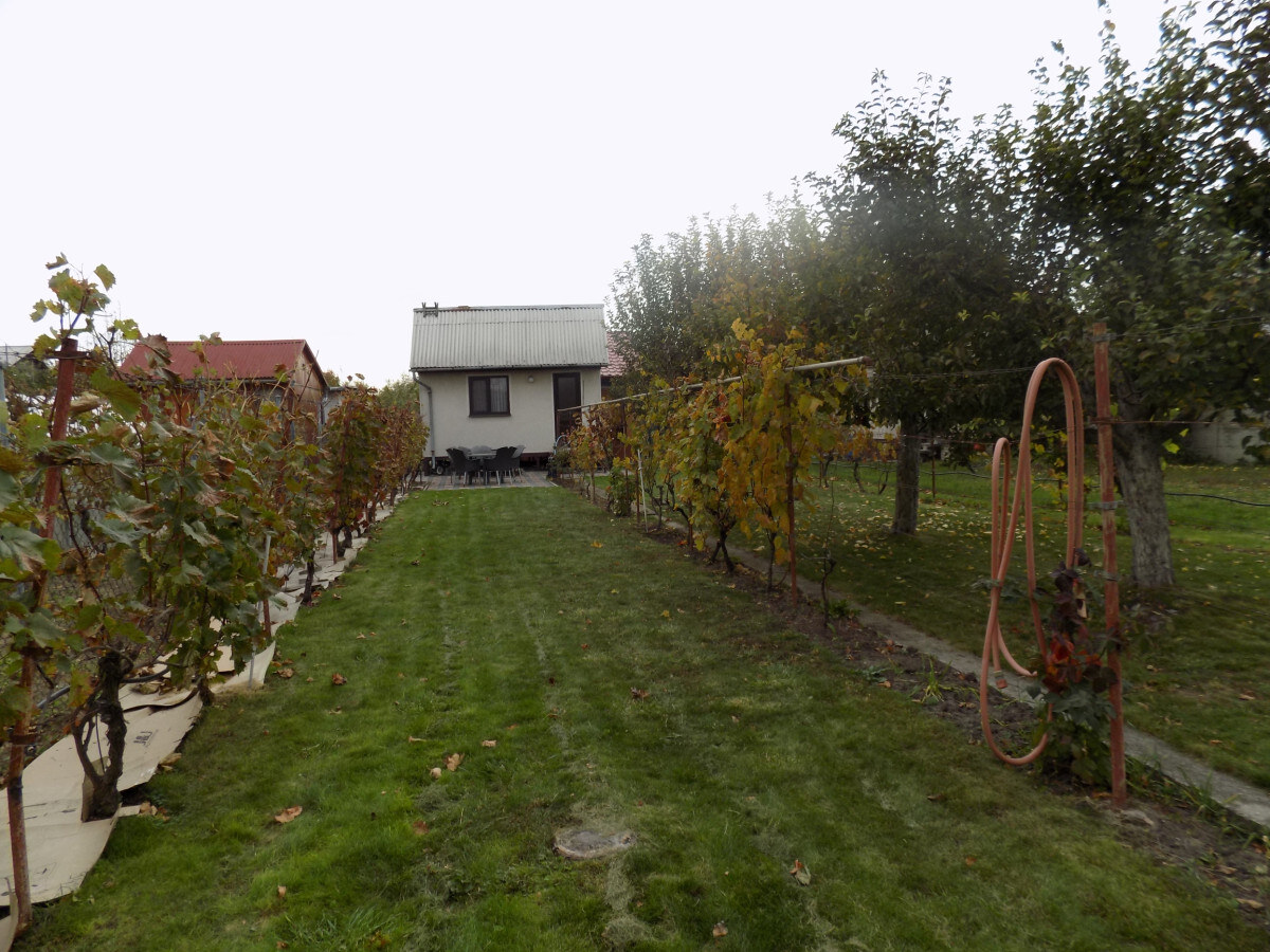 Na predaj chatka v príjemnej lokalite Svit pri  Nových Zámkoch . — foto 2