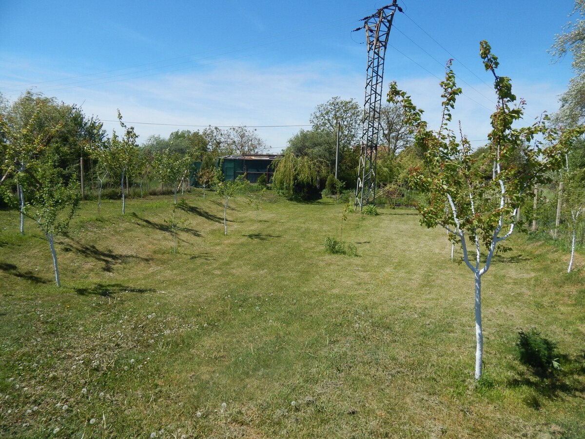 Z  pozemku sa môžete vydať člnom na prieskum okolitej vodnej ríše. — foto 12