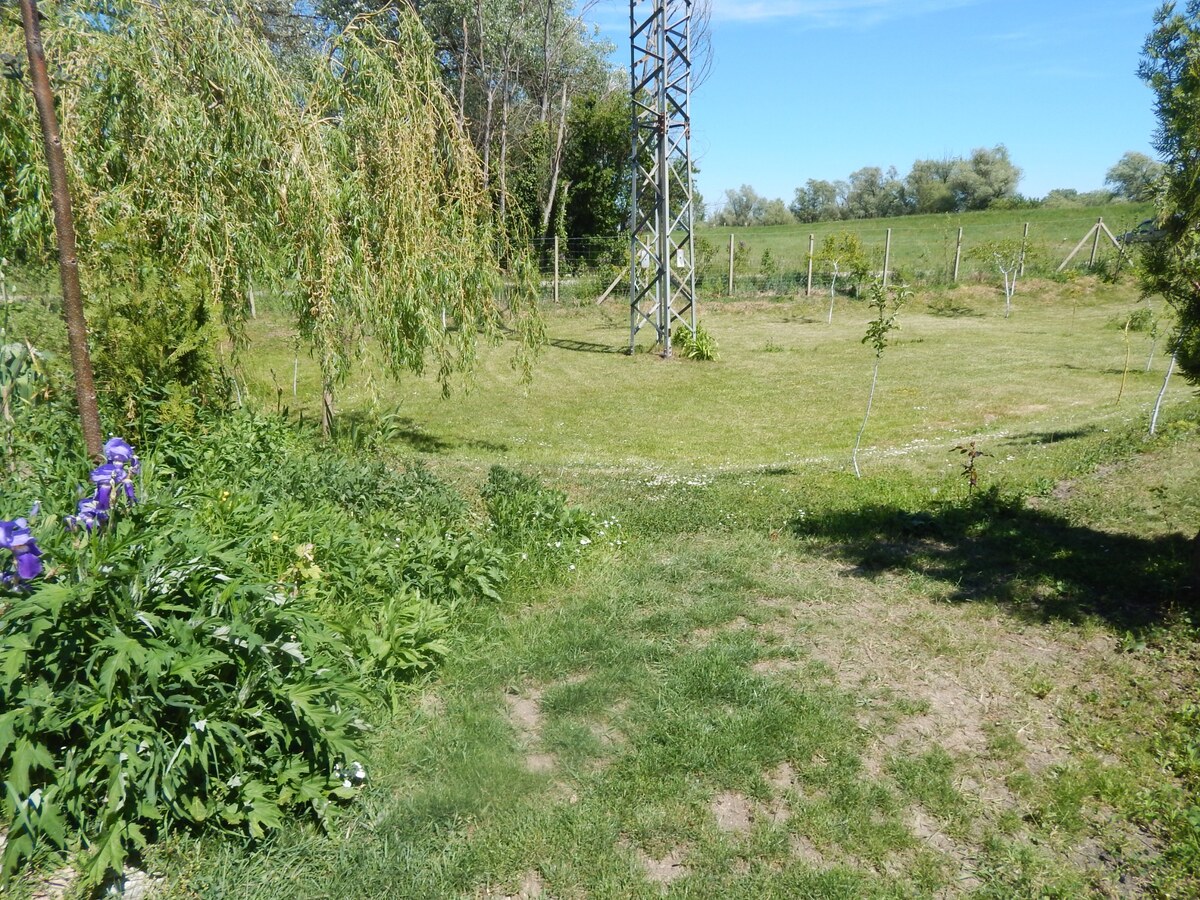 Z  pozemku sa môžete vydať člnom na prieskum okolitej vodnej ríše. — foto 13