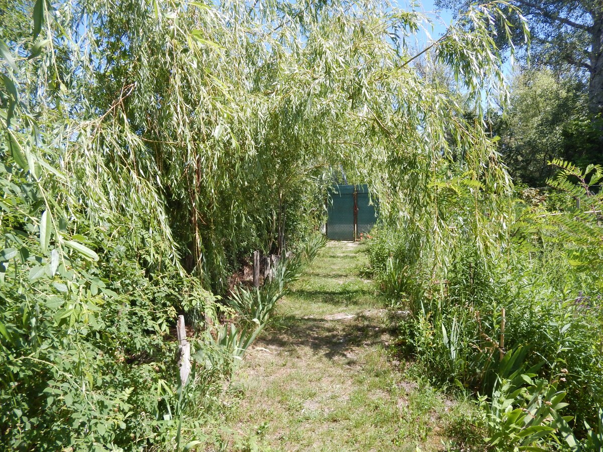 Z  pozemku sa môžete vydať člnom na prieskum okolitej vodnej ríše. — foto 8