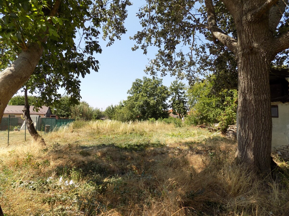 Na predaj 3 izb. domček v Rúbani pri Štúrove . — foto 17