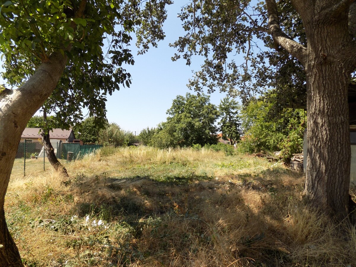 Na predaj 3 izb. domček v Rúbani pri Štúrove . — foto 4