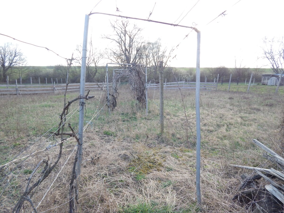 Na predaj 2 izbový dom v Kolte, 20km od Nových Zámkov. — foto 8