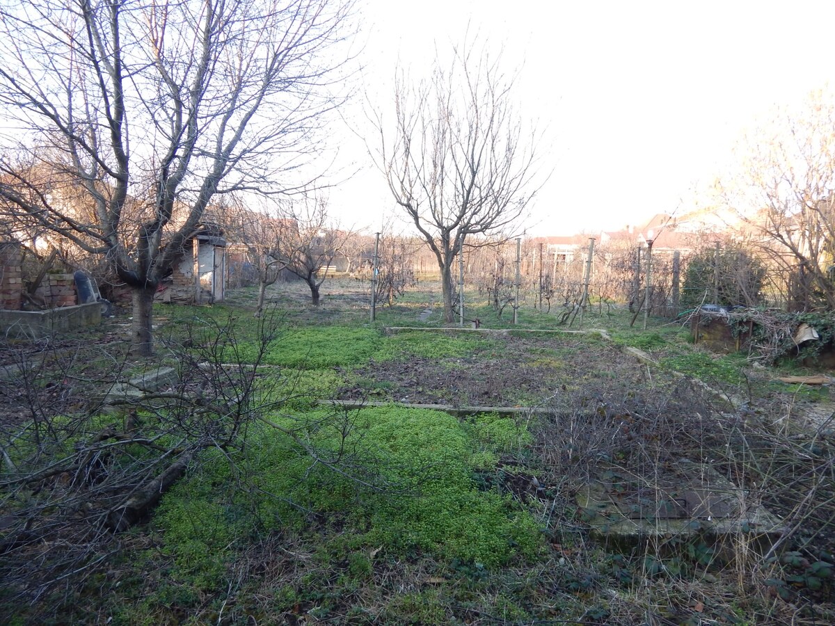 Predaj rodinného domu, Šurany, Šurany, Nové Zámky — foto 11
