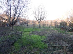 Predaj rodinného domu, Šurany, Šurany, Nové Zámky — foto 11
