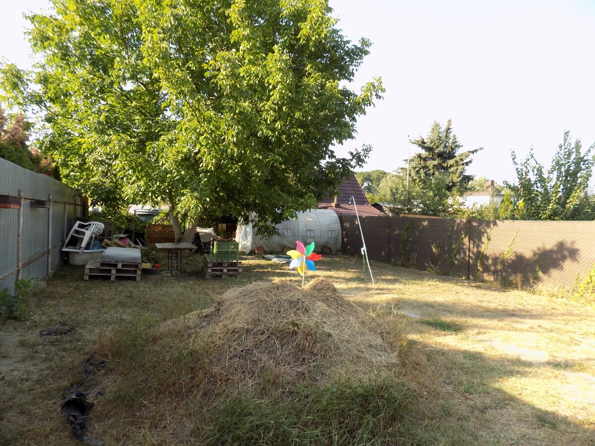 Na predaj murovaná chata na Tekvičnom poli v N. Zámkoch — foto 7