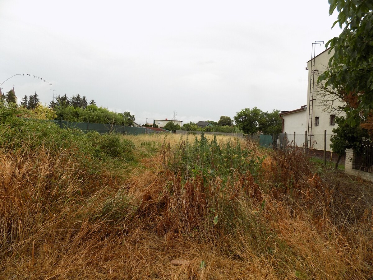 Znížená cena !Na predaj rovinatý pozemok v centre obce Bíňa -1088 m2. — foto 2