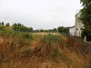 Znížená cena !Na predaj rovinatý pozemok v centre obce Bíňa -1088 m2. — foto 2