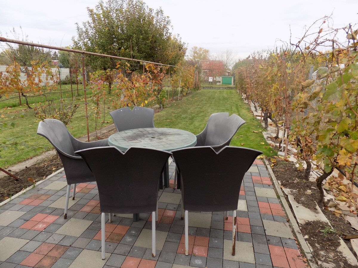 Na predaj chatka v príjemnej lokalite Svit 2  pri Nových Zámkoch . — foto 9