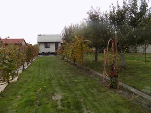 Na predaj chatka v príjemnej lokalite Svit 2  pri Nových Zámkoch . — foto 3