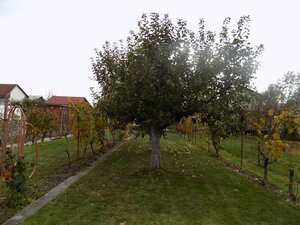 Na predaj chatka v príjemnej lokalite Svit 2  pri Nových Zámkoch . — foto 4