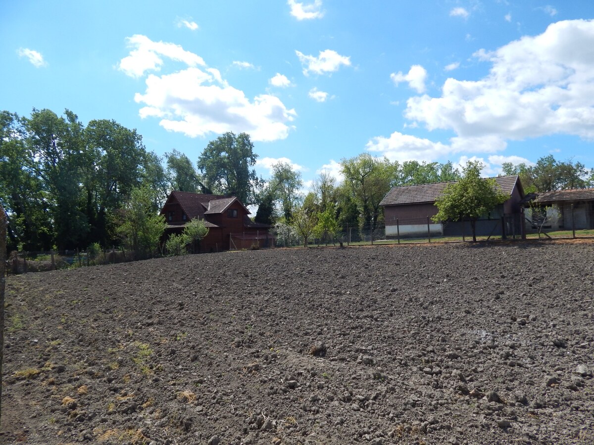 Na predaj vidiecky dom na pozemku 2104 m2 v Martovciach. — foto 12