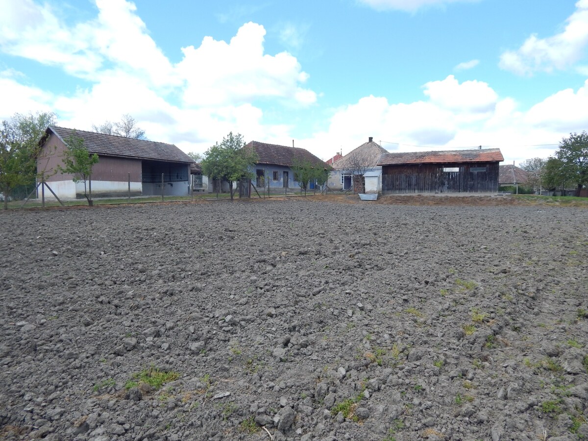 Na predaj vidiecky dom na pozemku 2104 m2 v Martovciach. — foto 13