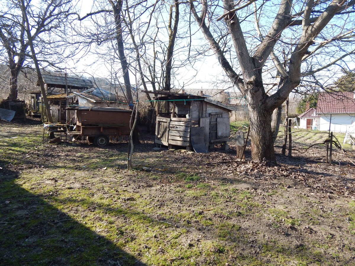 Na predaj chalupa v Dubníku  pri Štúrove . — foto 11