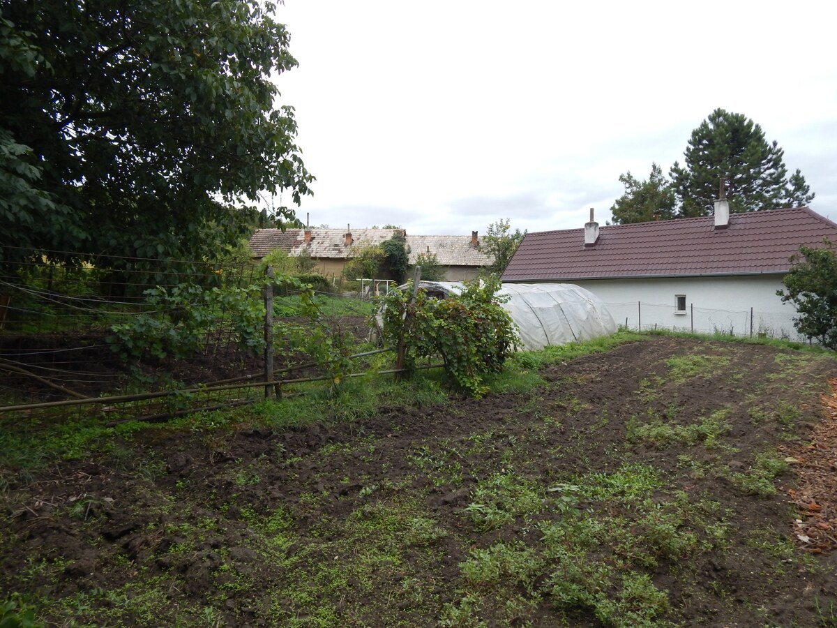 Na predaj chalupa v Dubníku  pri Štúrove . — foto 3