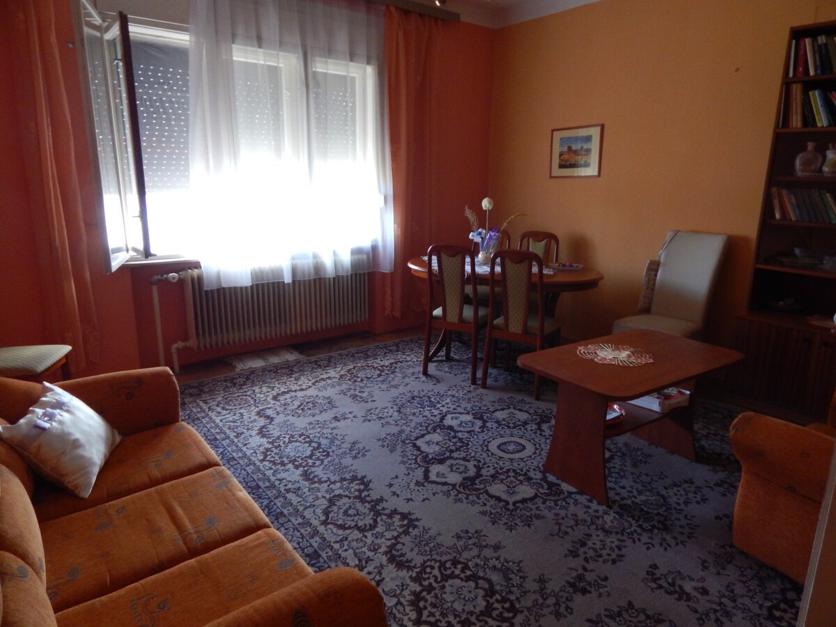Na predaj veľký 4 izbový dom v Salke - ihneď obývateľný! — foto 9