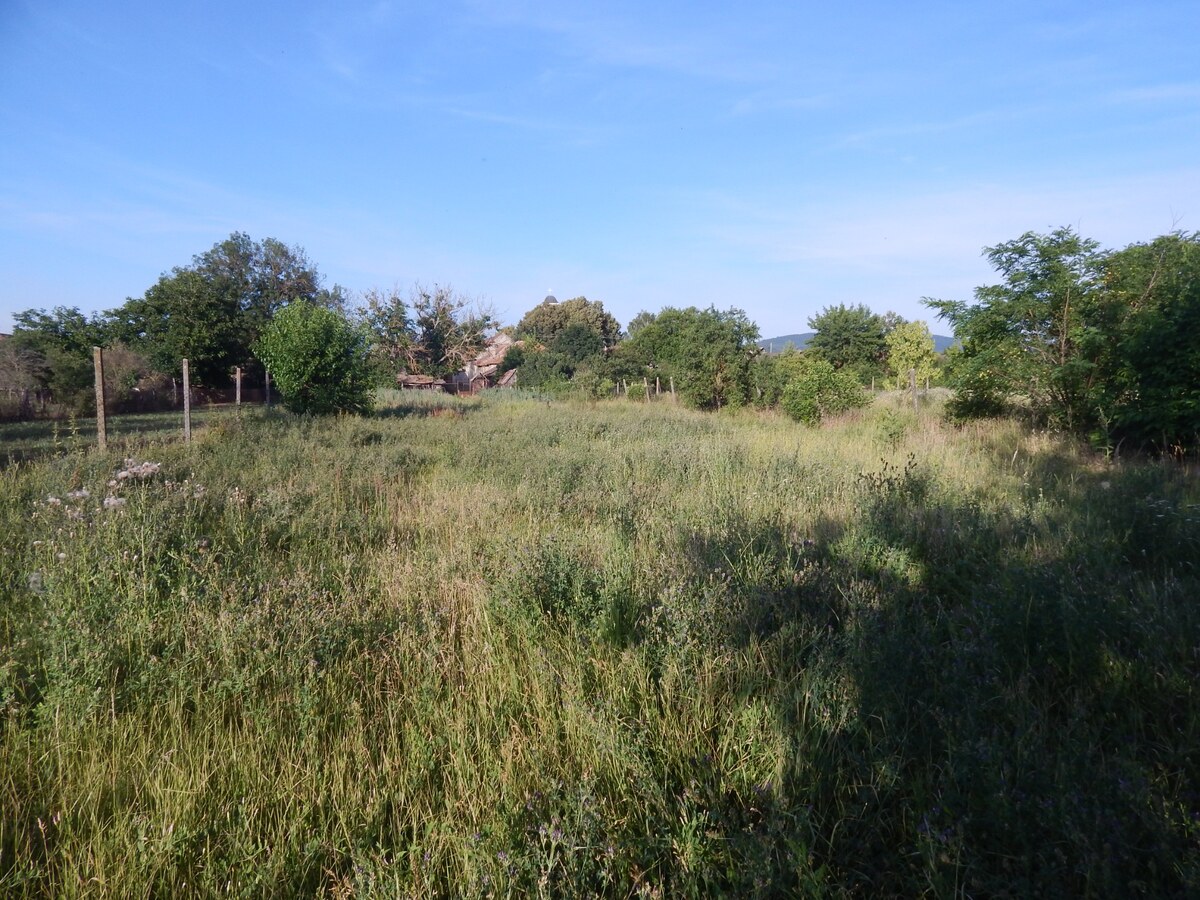 Pozemok s výmerou 928 m² v obci Malé Kosihy (okres Nové Zámky) — foto 2