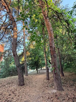 Rezervované: Na predaj 2-izbový byt po rekonštrukcii — foto 16