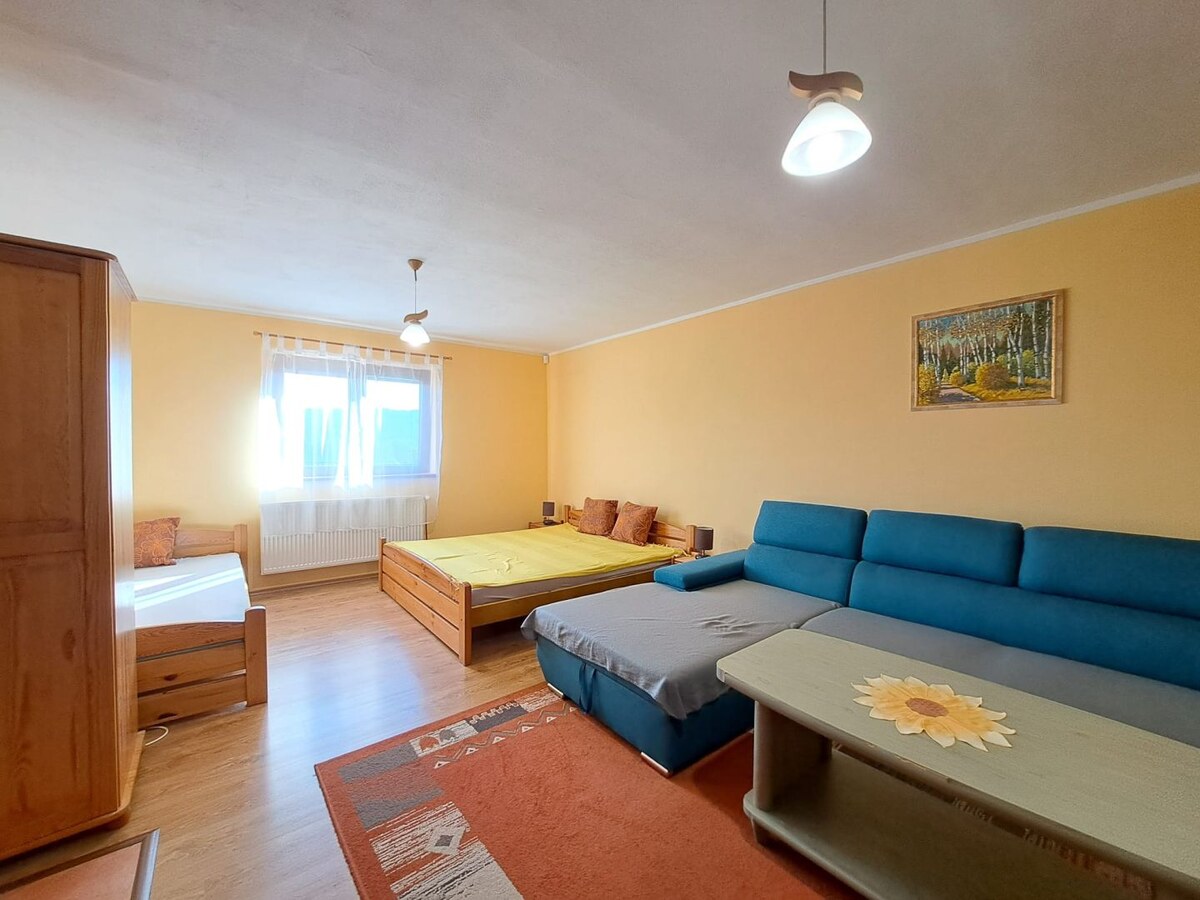 Na prenájom 1-izbový apartmán v rodinnom dome v Gánovciach — foto 2