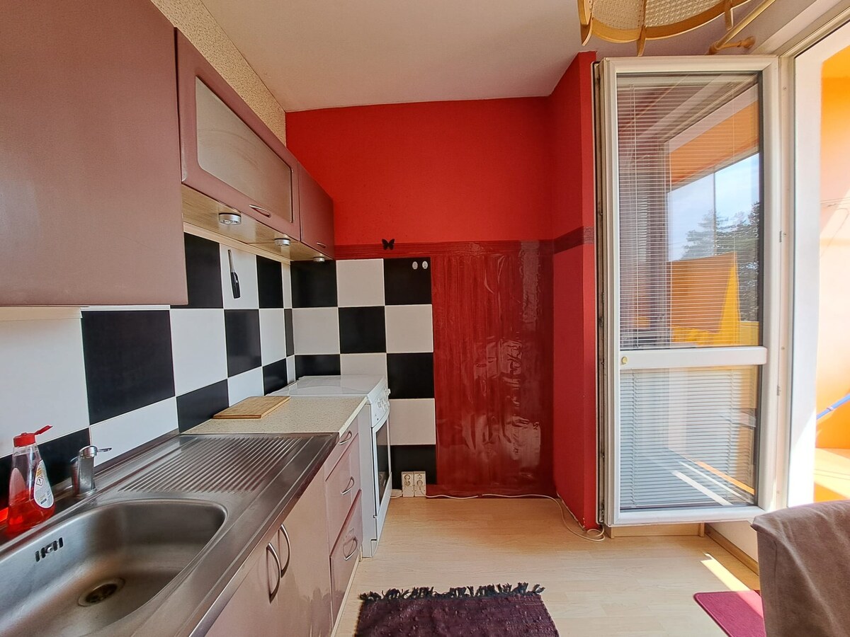 Útulný 1-izbový byt s balkónom na prenájom — foto 14