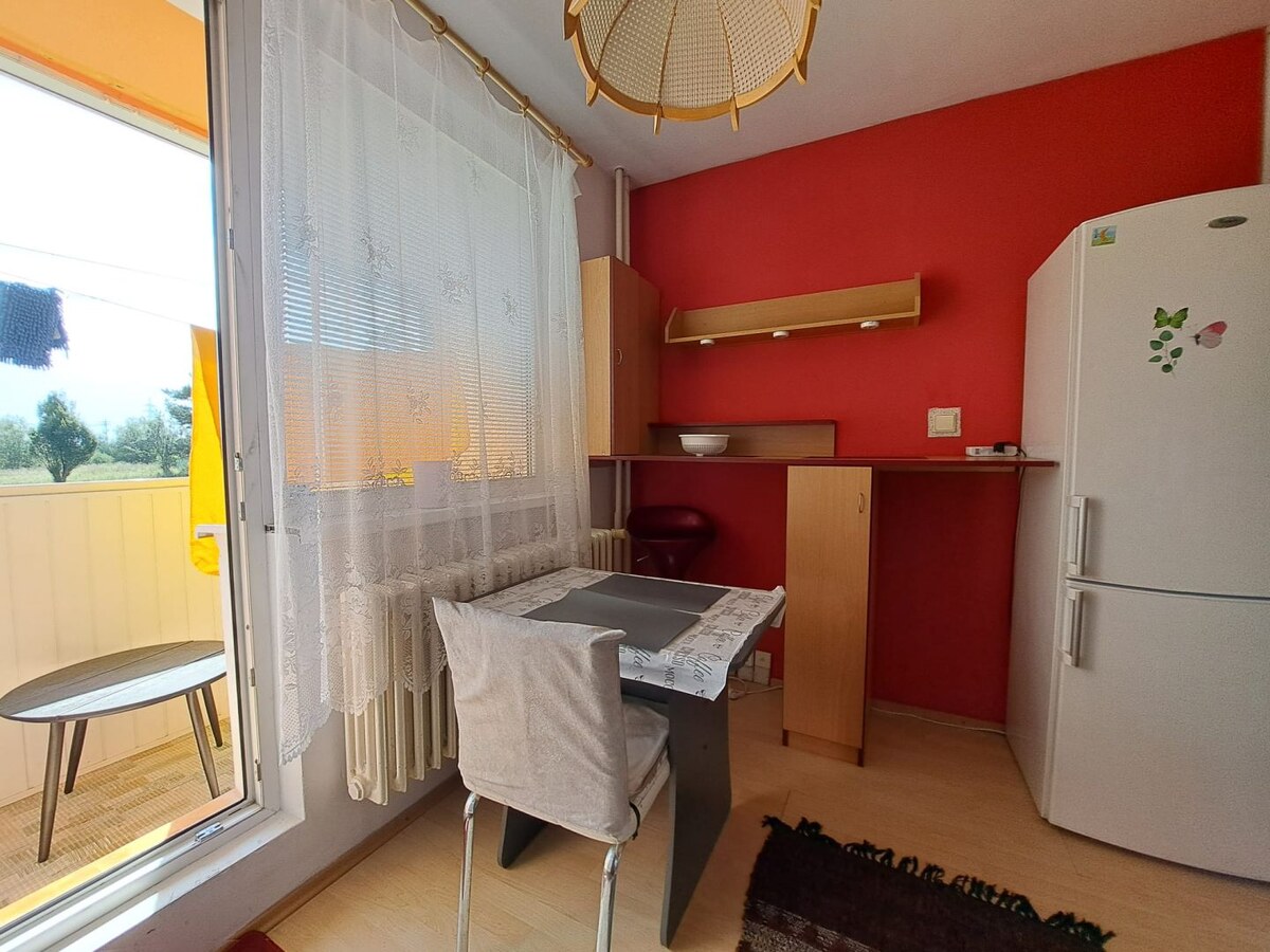 Útulný 1-izbový byt s balkónom na prenájom — foto 5
