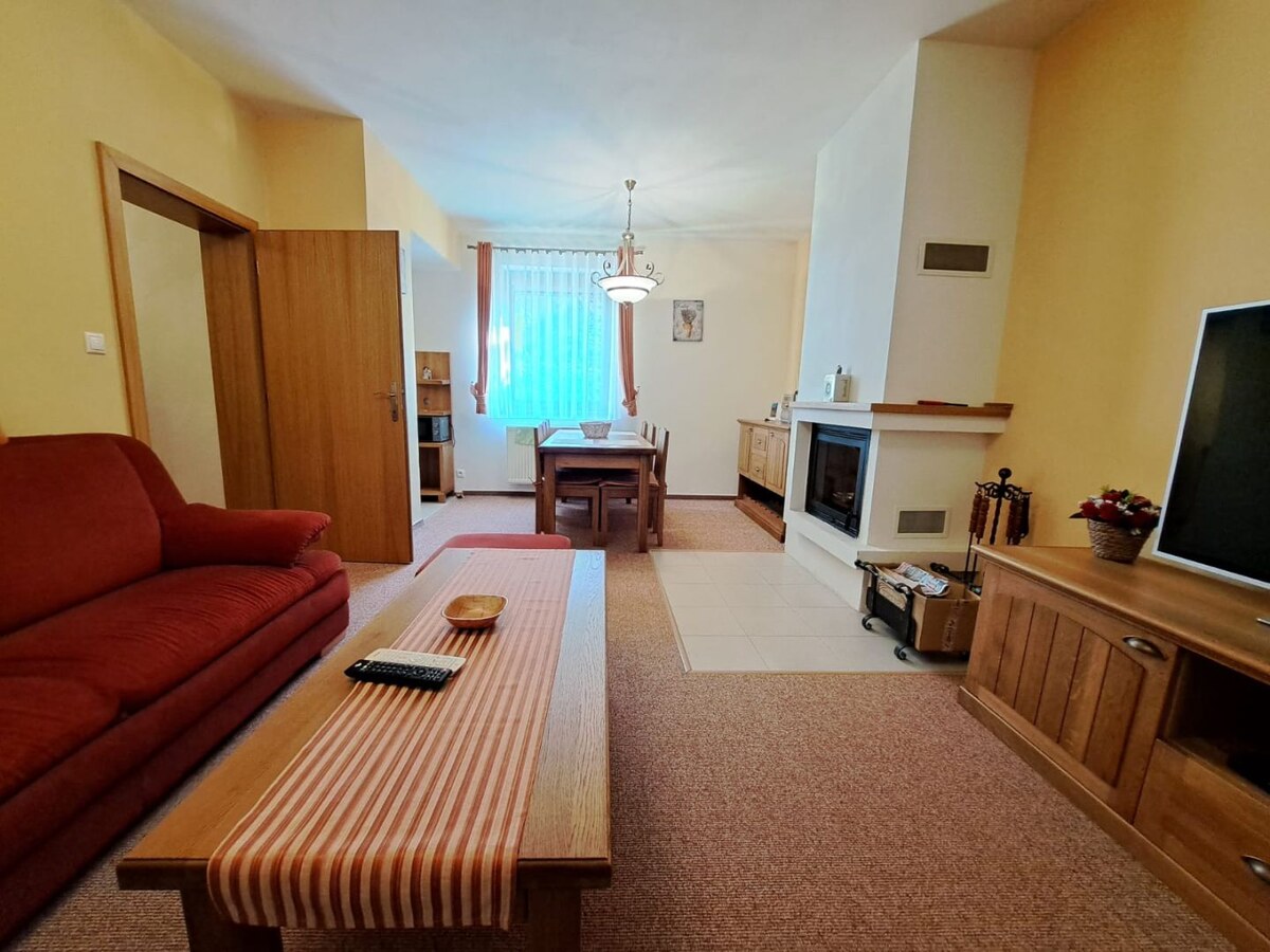 Priestranný apartmán v Starej Lesnej na prenájom