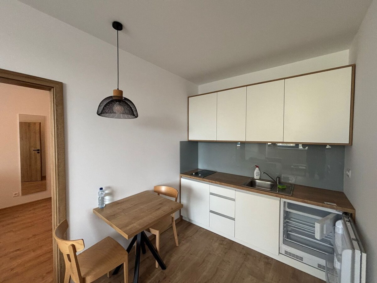 Na prenájom veľmi pekne zrekonštruovaný apartmán na Starom Juhu — foto 8