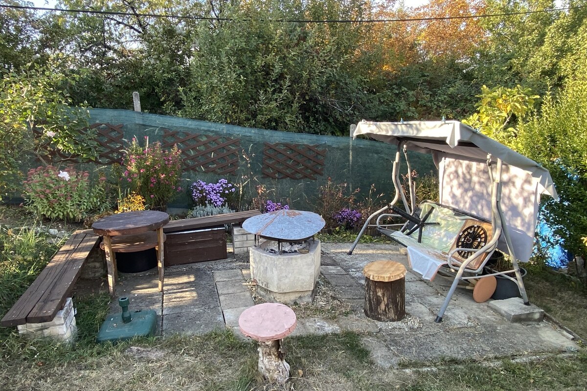 Ponúkame na predaj chatu s peknou záhradou vo Vinici pri Rim. Sobote — foto 12