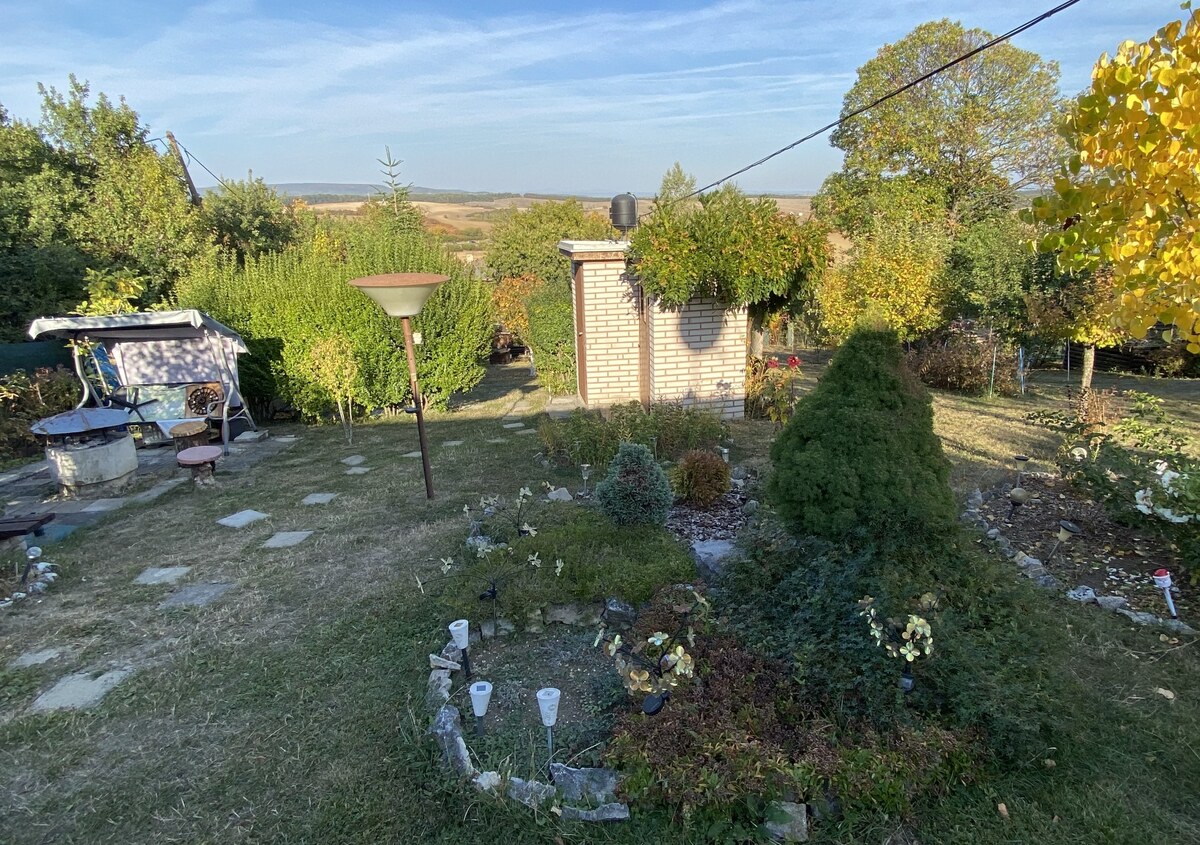 Ponúkame na predaj chatu s peknou záhradou vo Vinici pri Rim. Sobote — foto 14