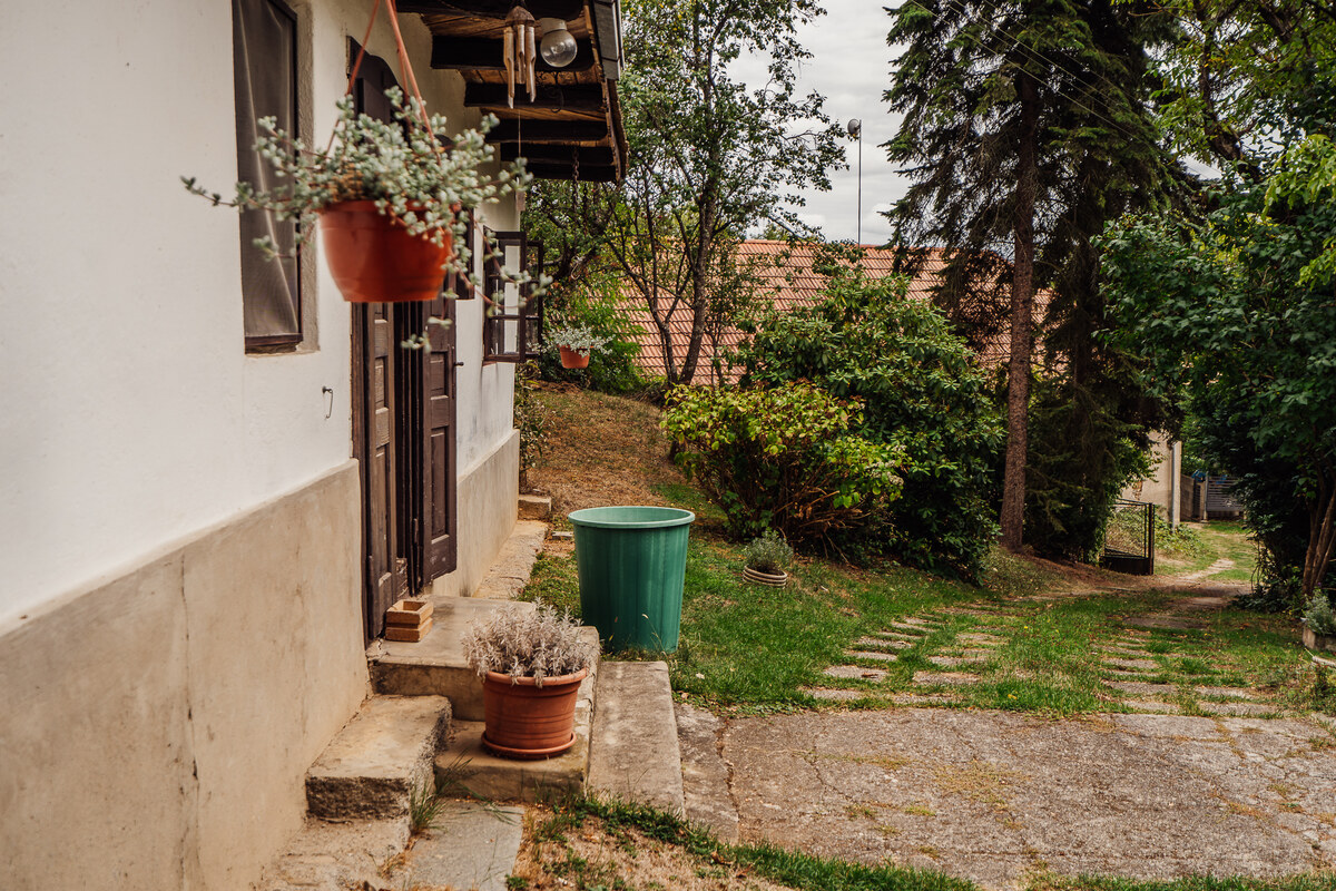 PREDAJ: Vidiecka usadlosť pri Lučenci - 4770 m2, Gregorova Vieska — foto 6
