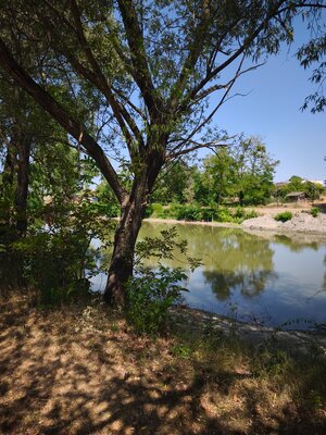 REZERVOVANÝ - Výnimočný dom s dušou a jedinečnou atmostérou, pri jazer — foto 20