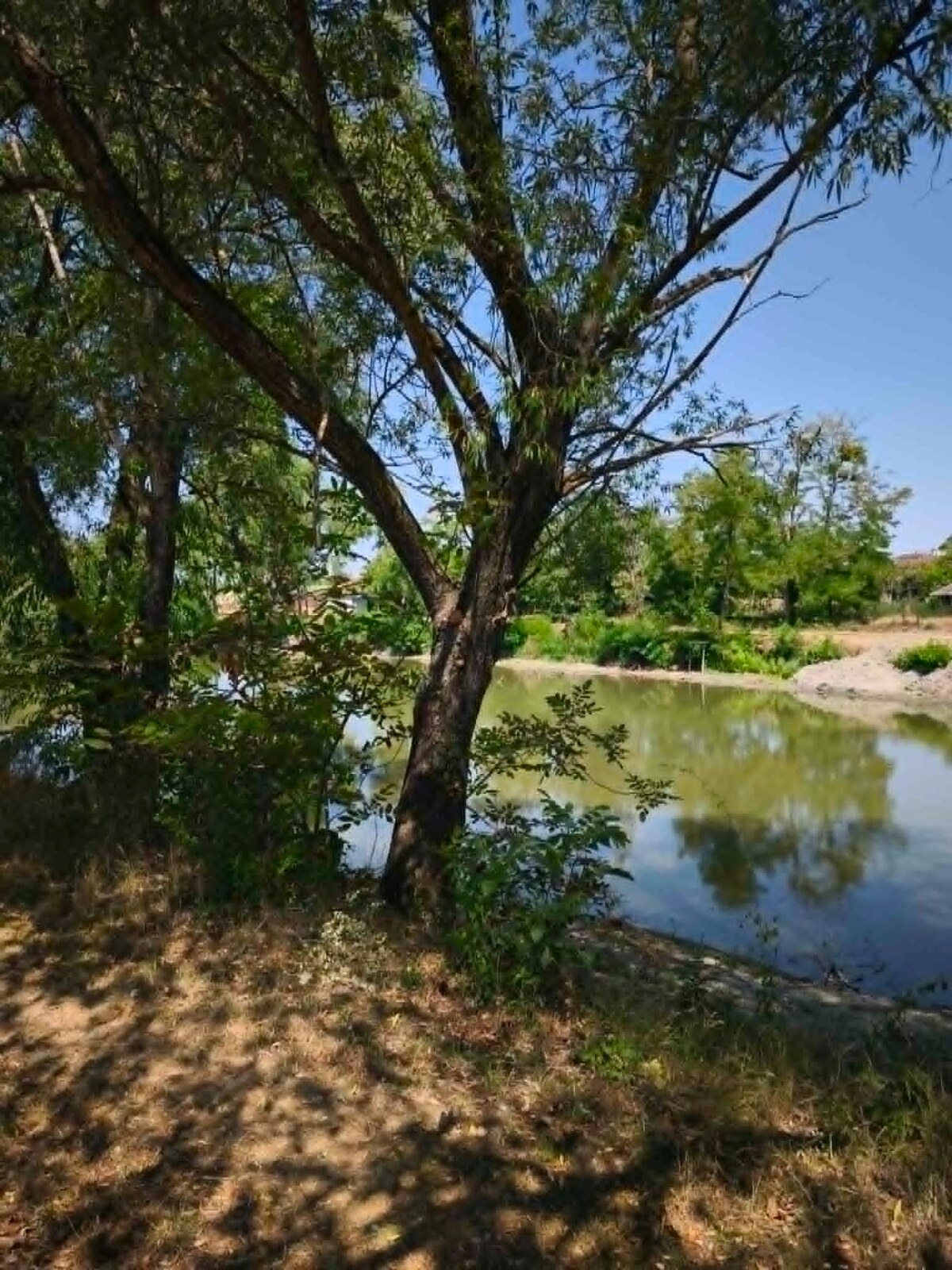 Na predaj slnečný pozemok pri jazere v obci Neded – 887 m² — foto 3