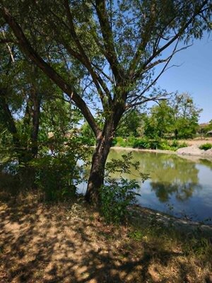 Na predaj slnečný pozemok pri jazere v obci Neded – 887 m² — foto 3