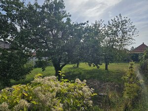 RD v Dolných Krškanoch s veľkou záhradou - 919m2 — foto 18