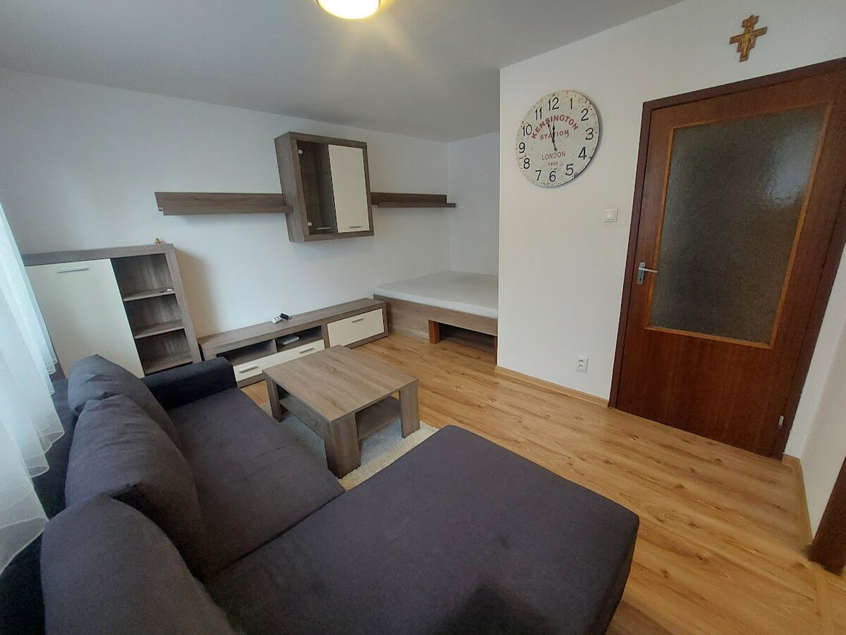 PRENÁJOM: 1 IZBOVÝ BYT S PEKNÝM VÝHĽADOM, THK — foto 5