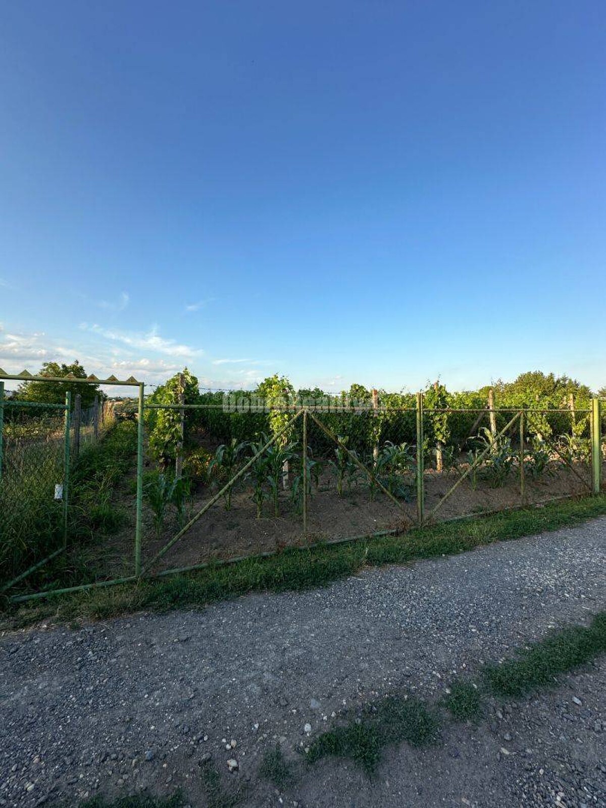 Dobré reality- Na predaj Rekreačný dom — foto 20