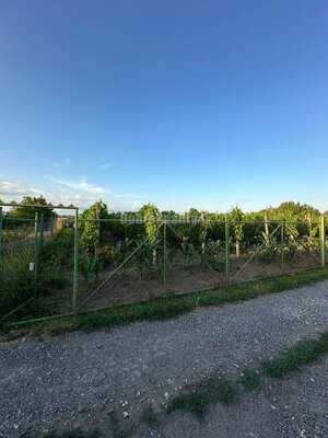Dobré reality- Na predaj Rekreačný dom — foto 20