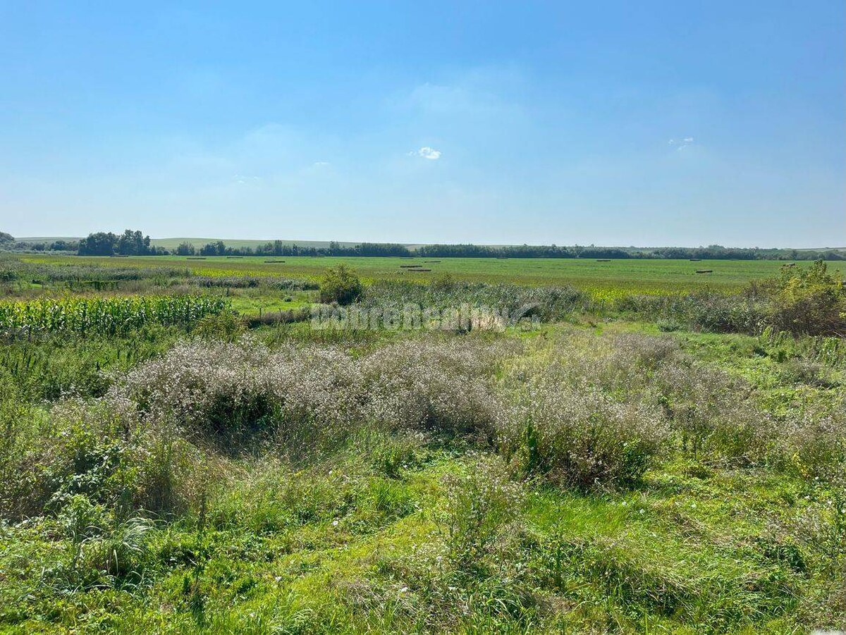 Predaj rodinného domu v obci Rúbaň, okres Nové Zámky! — foto 11