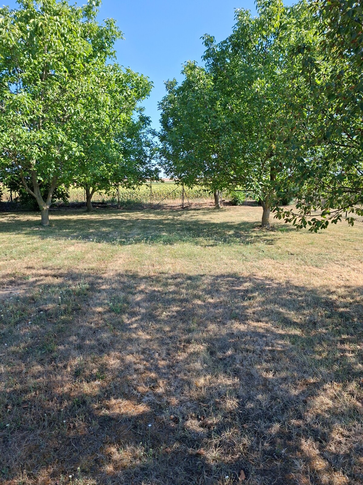 Predaj pozemku s rozostavaným rodinným domom v obci Radava ! — foto 2