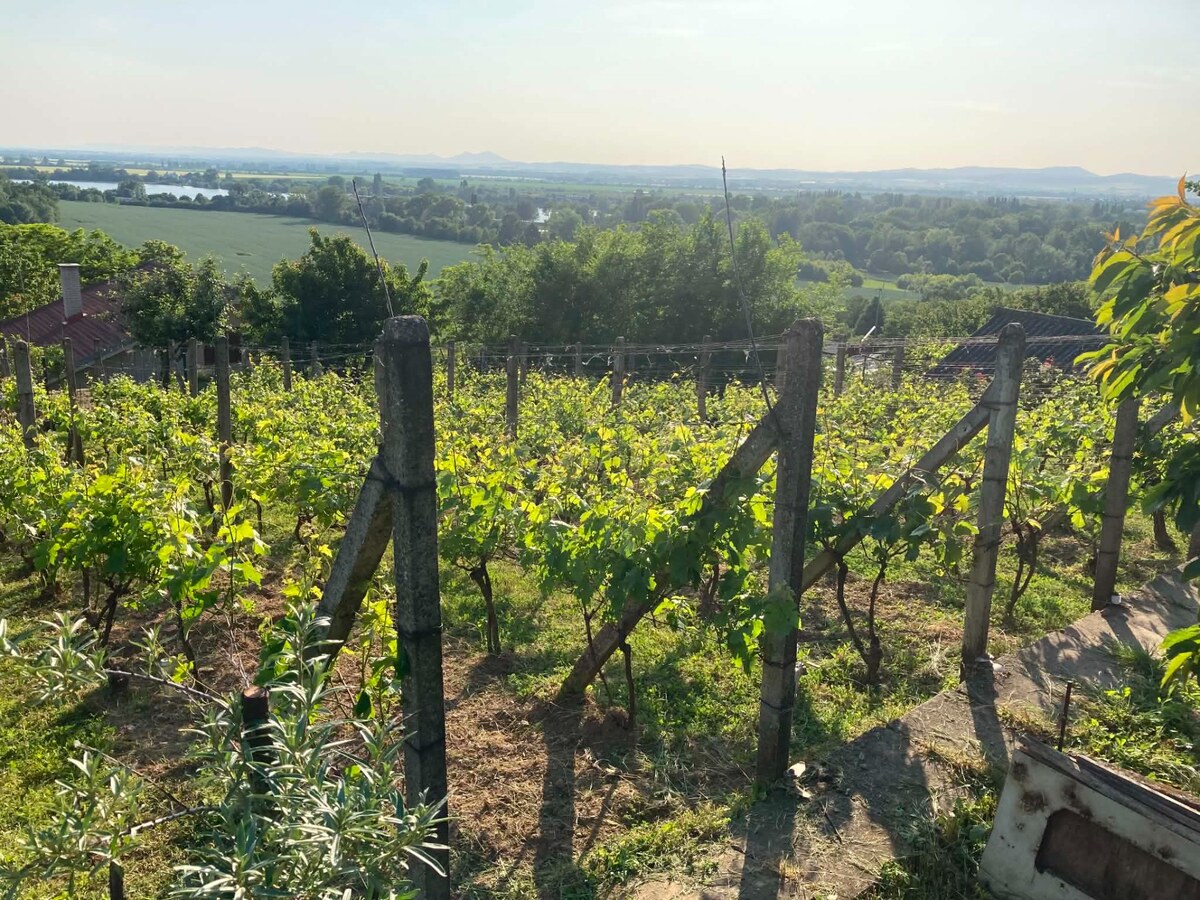 PANORAMATICKÝ VÝHĽAD | ZNÍŽENÁ CENA | Murovaná chata – Červená Veža — foto 17