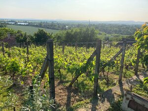 PANORAMATICKÝ VÝHĽAD | ZNÍŽENÁ CENA | Murovaná chata – Červená Veža — foto 17