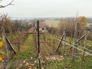 PANORAMATICKÝ VÝHĽAD | ZNÍŽENÁ CENA | Murovaná chata – Červená Veža — foto 18