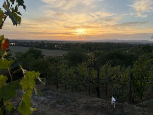PANORAMATICKÝ VÝHĽAD | ZNÍŽENÁ CENA | Murovaná chata – Červená Veža — foto 4