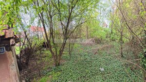 Dobré Reality ponúkajú pozemok s viničným domčekom — foto 8