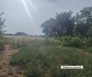 RK Dobré reality predáva rodinný dom v Nesvadoch — foto 4
