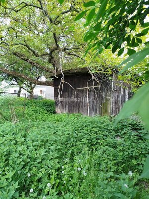 PREDAJ VEĽKÉHO STAVEBNÉHO POZEMKU S RODINNÝM DOMOM ZA CENU POZEMKU – N — foto 8