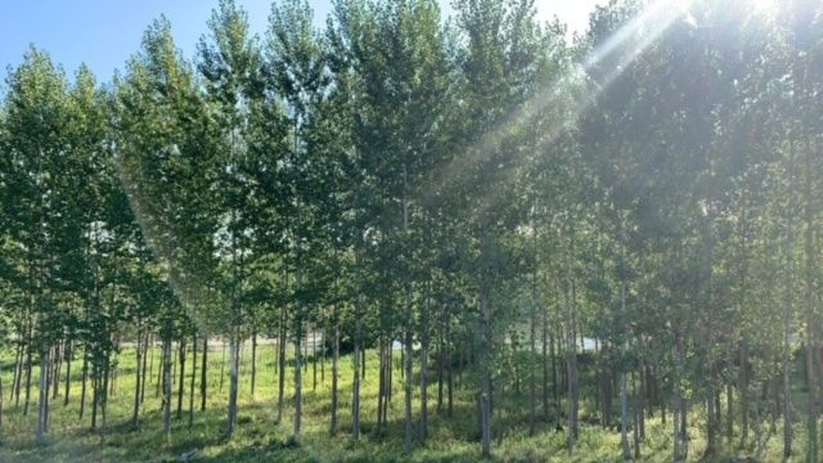 Exkluzívne, pozemok pri Váhu na predaj. — foto 3