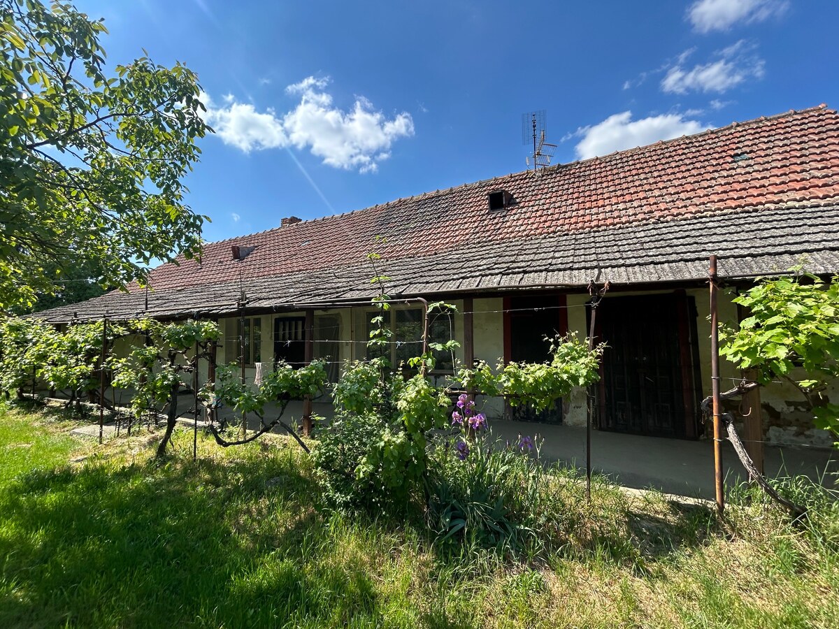 Novinka v obci Neded, atmosférická chalupa s dušou kúsok od Váhu. — foto 12
