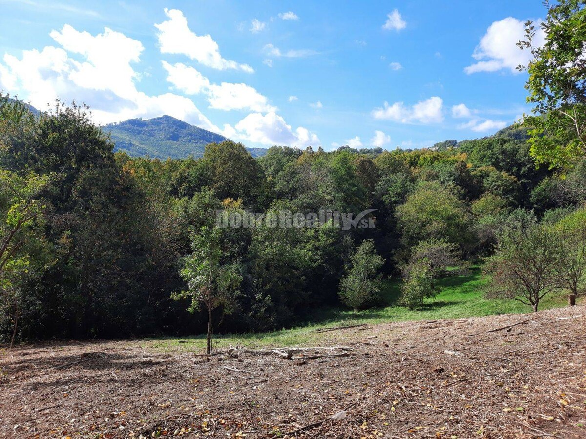 Pozemok pre výstavbu rodinného domu, 820 m2, Nová Baňa - Viničná cesta — foto 7